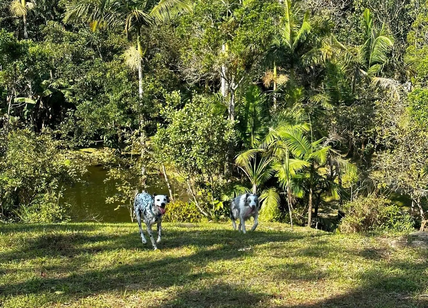 Semesterbostad Casa De Campo Com Cachoeira No Quintal Gaspar Brasilien