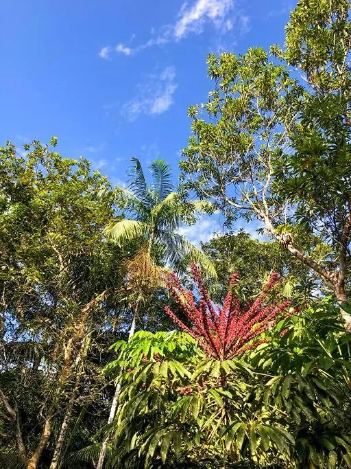 Casa De Campo Com Cachoeira No Quintal Gaspar Brazil